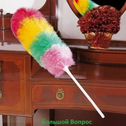Какво е pipidastry 1
