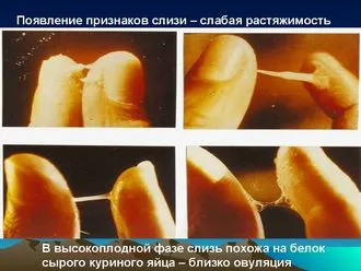 Какво се откроява със слуз момичета - дама citytile