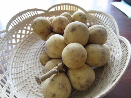 Какви плодове Longan, където се отглеждат, как да се хранят и как тя е полезна