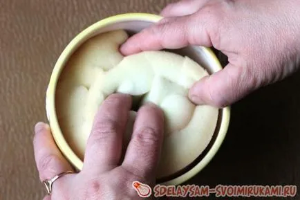 Цъфтящи кактуси кука, майсторски клас със собствените си ръце