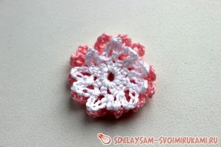 Цъфтящи кактуси кука, майсторски клас със собствените си ръце