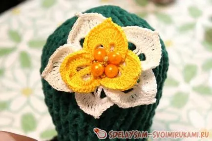 Цъфтящи кактуси кука, майсторски клас със собствените си ръце