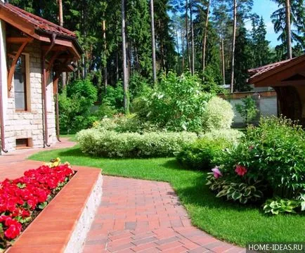 Декоративни храсти за градината и двора