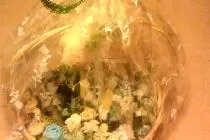 Децата, Направи си сам свои ръце