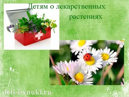 Децата около лекарствени растения, деца и внуци (глухарче и др.) Децата около лекарствени растения, деца и внуци