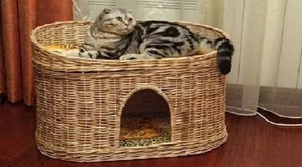 Къщи за котки от вестникарски тръби