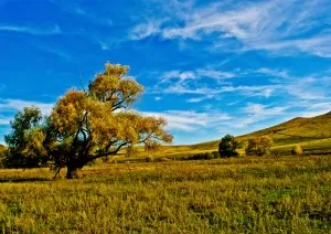 елементи от дизайна