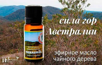 Чаено дърво етерично масло