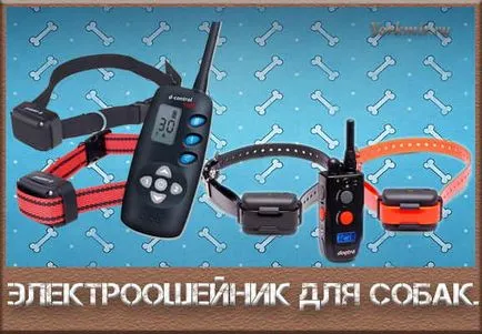 Elektroosheynik видове куче с инструкции