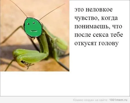 Това е неудобно чувство, Netlore Pocker лицето, Twitter, меми лицата, ярост комикси, pokerfeys е неудобни