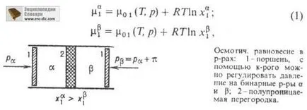 Ozmózis - Chemical Encyclopedia - Encyclopedia & amp; szótárak