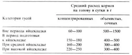 Хранене възрастни гъски - gusevodstve - домашни птици