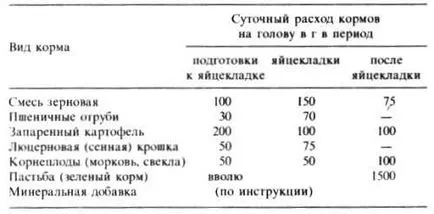 Etetés felnőtt libák - gusevodstve - baromfi