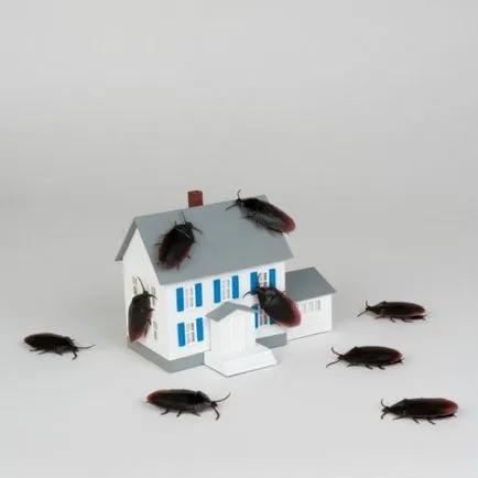 În cazul în care sunt gândaci în apartament