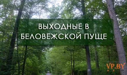 A turizmus a hasznos teljesítmény a Bialowieza erdő