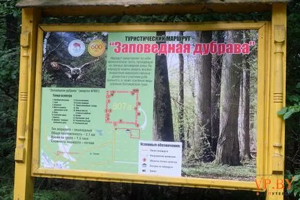 A turizmus a hasznos teljesítmény a Bialowieza erdő