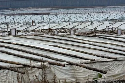 Panica despre „capturarea“ a teritoriului românesc în China (5 poze) - triniksi