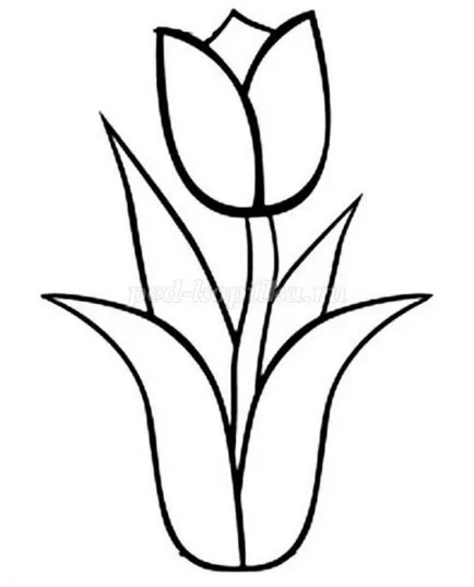 Panelek koktél csövek „tulipán” saját kezűleg