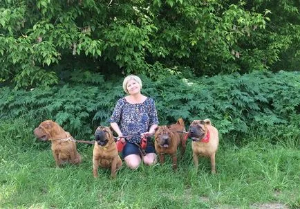 Canisa Goldfish, shar-pei, Yorkshire Terrier, Bulldog engleză