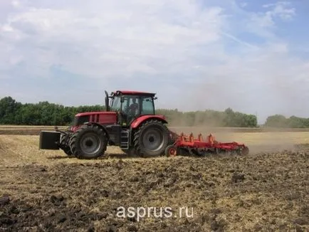 Хранителната стойност и агрономически характеристики на отглеждане на круши, appyapm