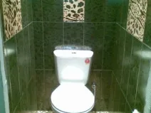 Dale pentru WC (21 poze), gresie WC asieta place să pună gresie în baie