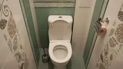 Плочки в тоалетната, как да го поправи тоалетни плочки, фото дизайн