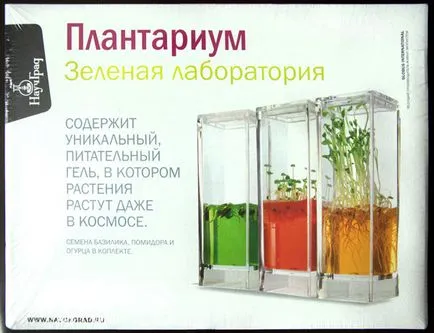 Plantarium (зелена лаборатория) в Екатеринбург купуват на по-ниска цена - онлайн магазин