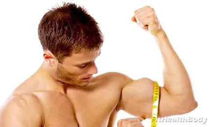 Emelés súlyzó bicepsz állva - gépek, nyilvántartások, ötletek