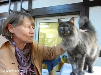 Под закрилата на закона, а защо не и бездомни кучета в Германия