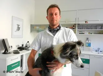Védelme alatt a törvény, vagy miért nem kóbor kutyák Németországban