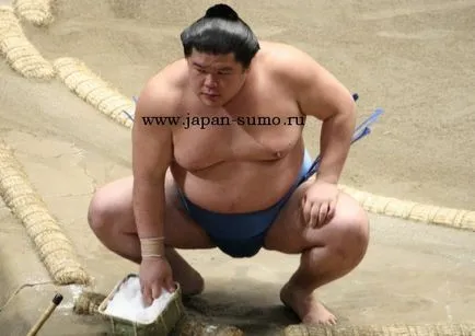 Bout, sumo