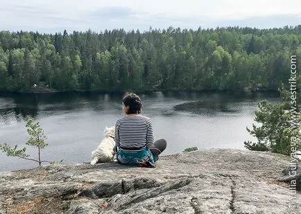 Excursie la lacul cu corturi șoim