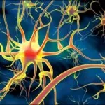 Polyneuropathia, polyneuropathia diagnózis és a kezelés Izraelben, az izraeli klinikán kezelés Izraelben