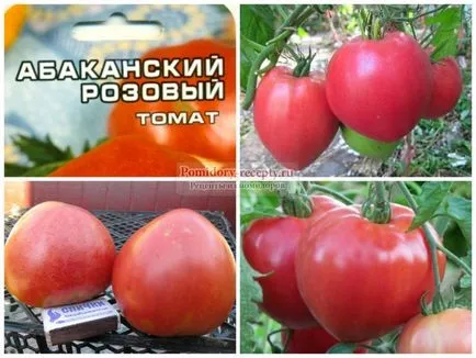 Tomate soiuri din Siberia și comentarii