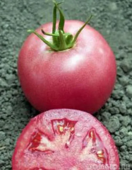 Домати, отглеждане на разсад, особено грижат за доматите, най-разпространените болести