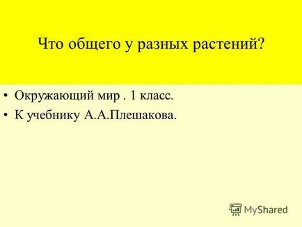 Представяне на това, което се среща често по целия свят в различни растения