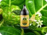 Használata noni juice