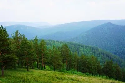 Természet, növények és állatok a Krasznojarszk terület