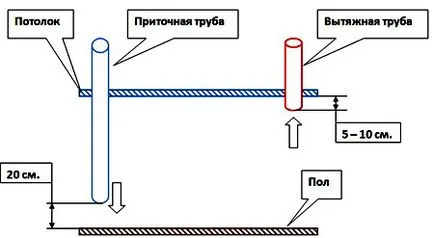 proiect de casa de găină la 100 și 1000 cap