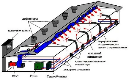 кокошка проект къща на 100 и 1000 главата