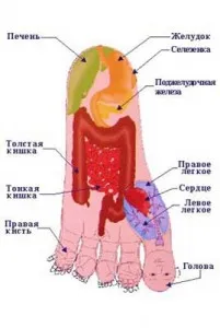 Sudzhok превантивен масаж, жени опит