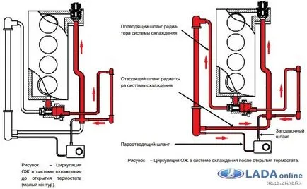 temperatura motorului Pro se agite și să acorde Viburnum 2