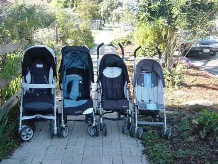 Strollers INGLESINA Prezentare generală espresso, descriere, caracteristici și recenzii