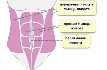 Пъпна херния хирургия при деца с методи за нейното прилагане