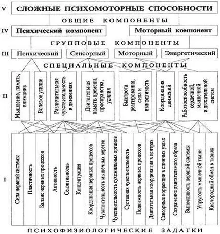 Психомоторна способности на младия спортист, концепцията за психомоторни умения - особено