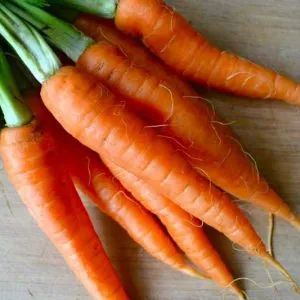 Рецепта за салата салата от зеле с моркови