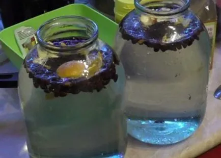 Рецепти кедър водка как да се направи водка, се влива с кедрови ядки, домашни
