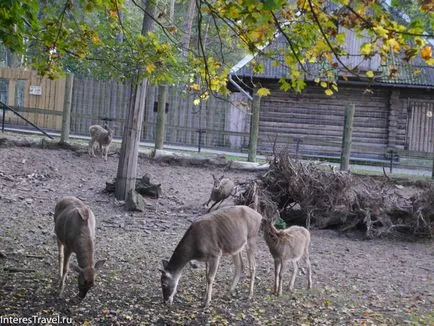 Рига Zoo е всичко за него, всичко за пътуване