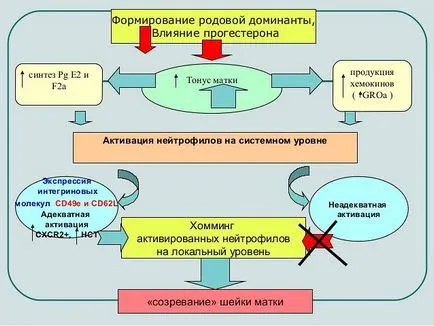 доминиращ клан