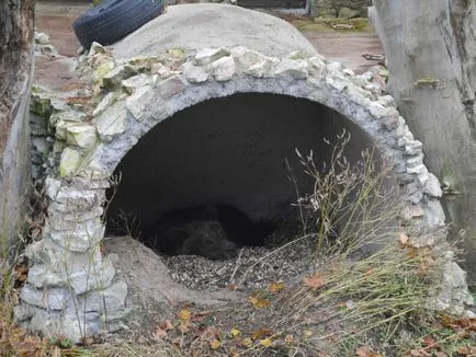 Riga Zoo szól neki, szól az utazási